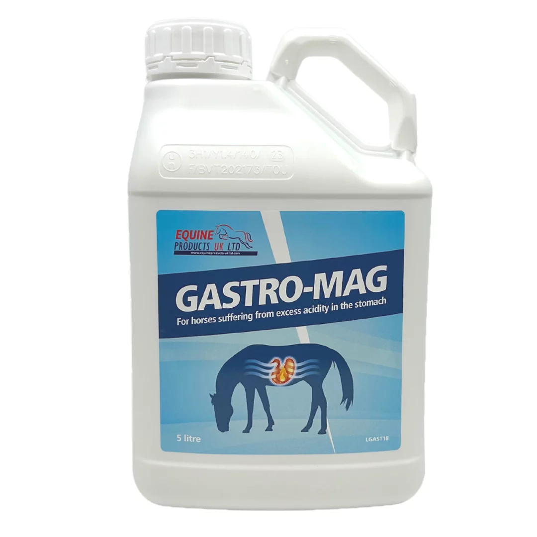 Gastro-Mag - Image 2
